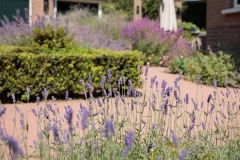 Moerman-Hoveniers-21-06-25-web-resolutie-105