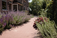 Moerman-Hoveniers-21-06-25-web-resolutie-106