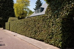 Moerman-Hoveniers-21-06-25-web-resolutie-125