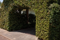 Moerman-Hoveniers-21-06-25-web-resolutie-126