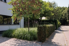 Moerman-Hoveniers-21-06-25-web-resolutie-127