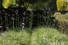 Moerman-Hoveniers-21-06-25-web-resolutie-128