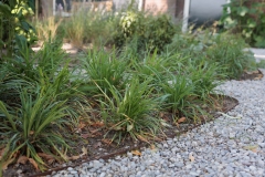 Moerman-Hoveniers-21-06-25-web-resolutie-150