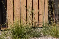 Moerman-Hoveniers-21-06-25-web-resolutie-29