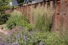 Moerman-Hoveniers-21-06-25-web-resolutie-11