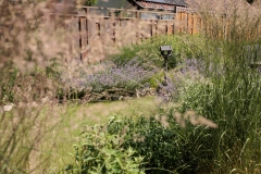 Moerman-Hoveniers-21-06-25-web-resolutie-162