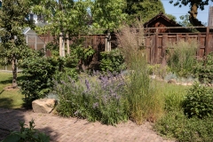 Moerman-Hoveniers-21-06-25-web-resolutie-8