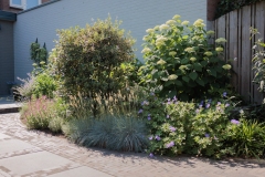 Moerman-Hoveniers-21-06-25-web-resolutie-55