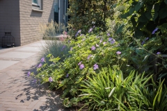 Moerman-Hoveniers-21-06-25-web-resolutie-64-1