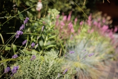 Moerman-Hoveniers-21-06-25-web-resolutie-66