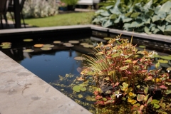 Moerman-Hoveniers-21-06-25-web-resolutie-120