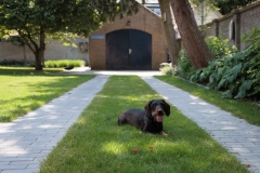 Moerman-Hoveniers-21-06-25-web-resolutie-102