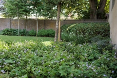 Moerman-Hoveniers-21-06-25-web-resolutie-76